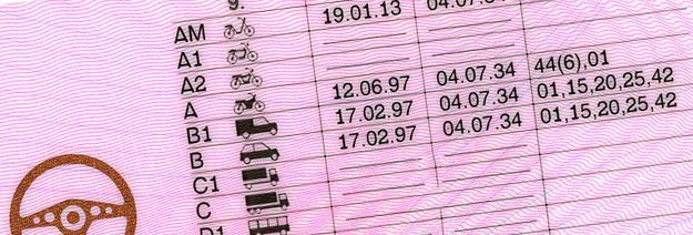 Your licence